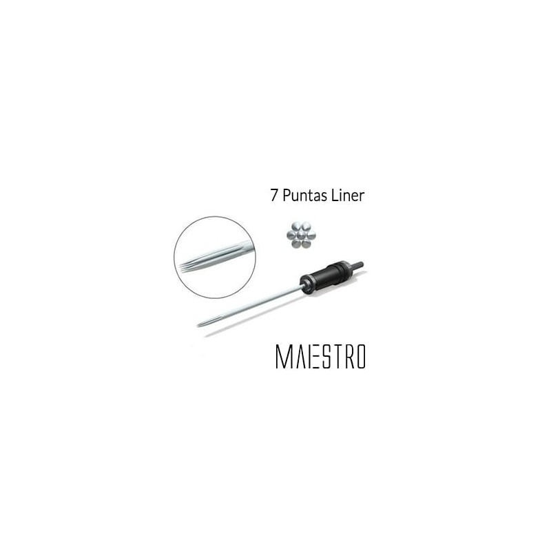 Biotek Maestro 7p Liner (5 uds.) Plus